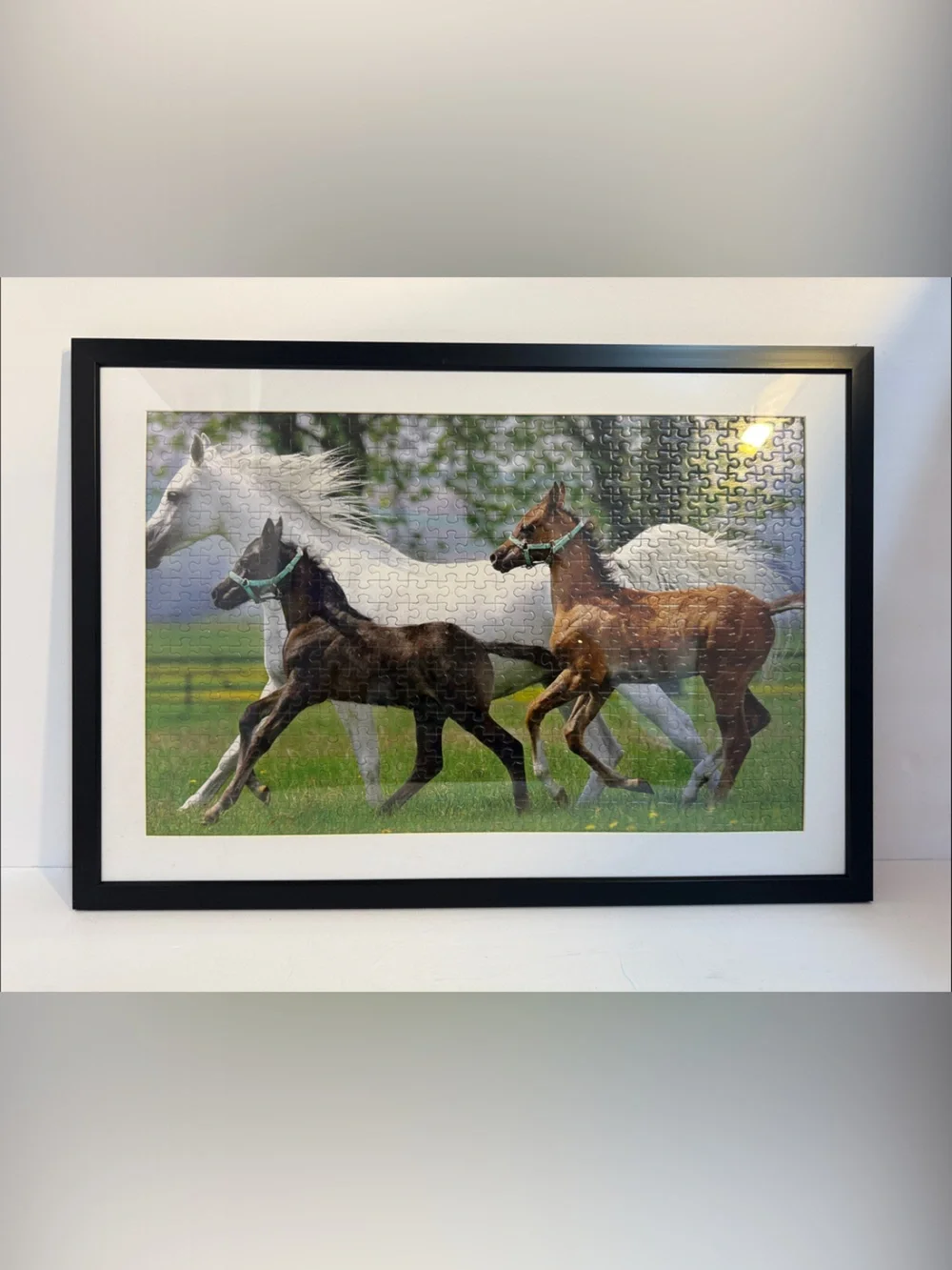 Framed Horse Puzzle Wall Art - Black Frame, White Mat